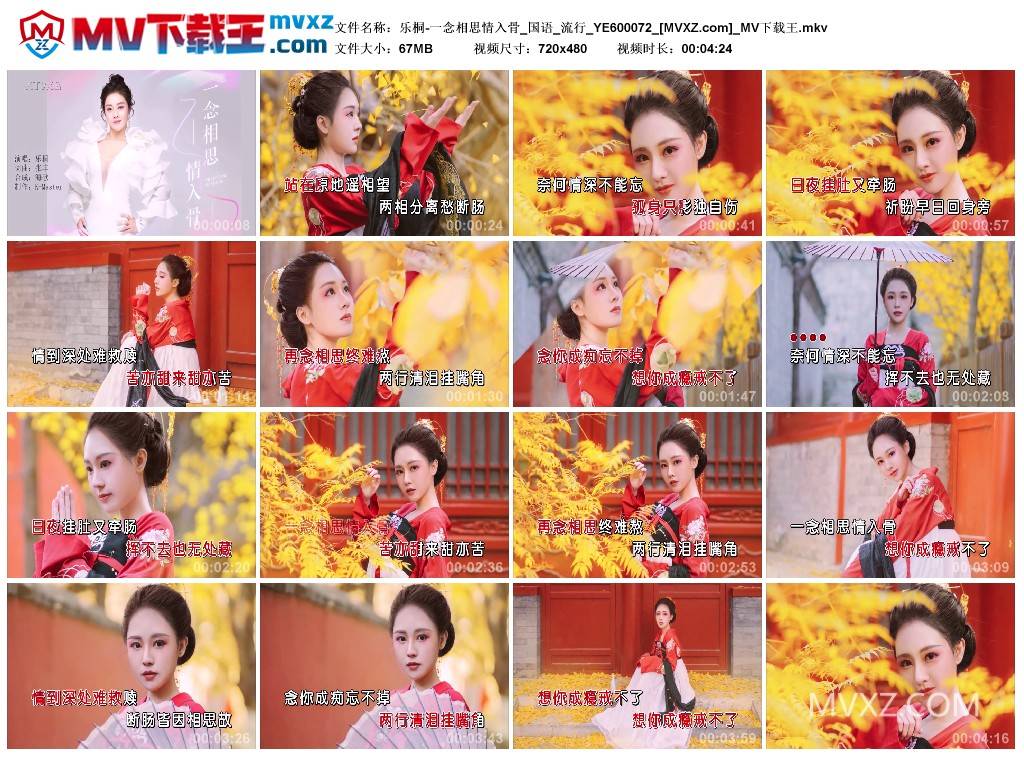 乐桐-一念相思情入骨_国语_流行_YE600072